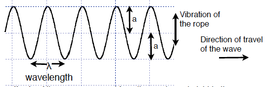 Transverse wave measurements of wavelength and amplitude