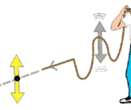 Waveing the end of a rope up and down produces longitudinal waves in a rope