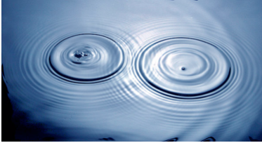 Water waves are transverse