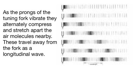 As the prongs of the tuning fork vibrate they alternately compress and stretch apart the air molecules nearby